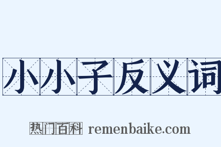 小小子反义词是什么意思的图片